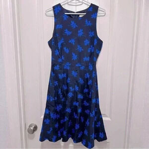 J Crew Factory Dress